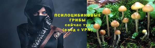 стафф Алексеевка