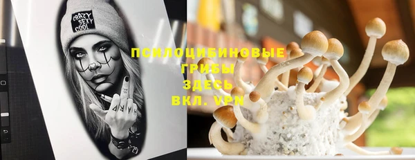 стафф Алексеевка