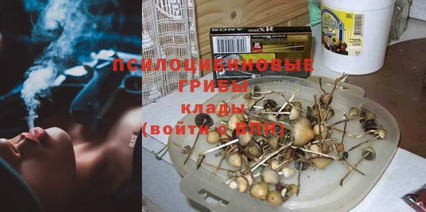 a pvp Алексин