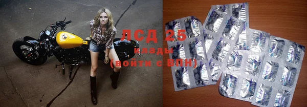 твердый Алзамай