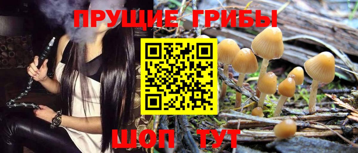 где купить наркотик  Вход с VPN  Геленджик  Псилоцибиновые грибы мицелий 
