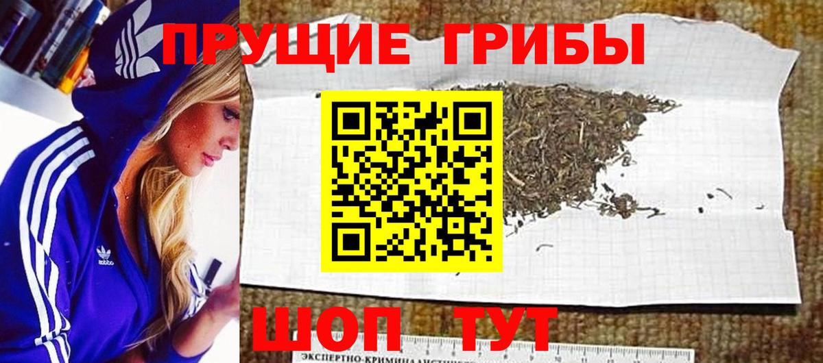 Псилоцибиновые грибы прущие грибы Геленджик